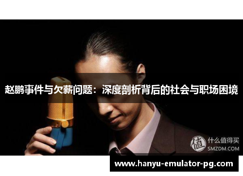 赵鹏事件与欠薪问题：深度剖析背后的社会与职场困境