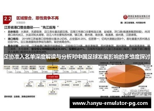 足协准入名单深度解读与分析对中国足球发展影响的多维度探讨