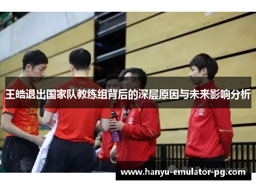 王皓退出国家队教练组背后的深层原因与未来影响分析