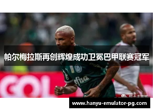 帕尔梅拉斯再创辉煌成功卫冕巴甲联赛冠军 帕尔梅拉斯再创辉煌成功卫冕巴甲联赛冠军