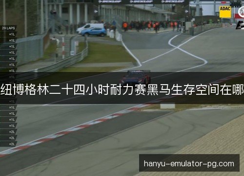 纽博格林二十四小时耐力赛黑马生存空间在哪